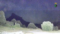 Webcams