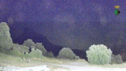 Webcams