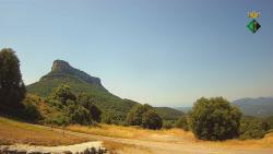 Webcams