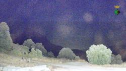 Webcams