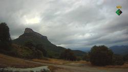 Webcams