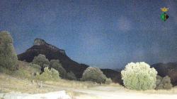 Webcams