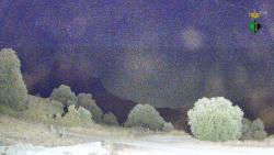 Webcams