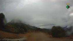 Webcams