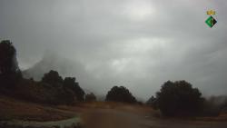 Webcams