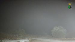 Webcams