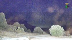 Webcams