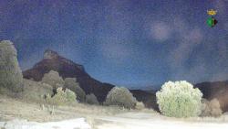 Webcams
