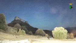 Webcams