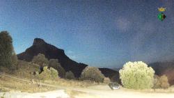 Webcams