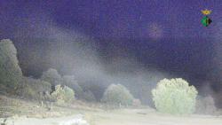 Webcams