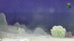 Webcams