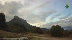 Webcams