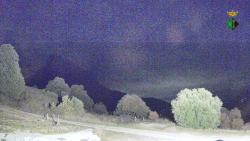 Webcams