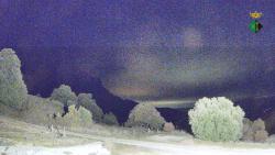 Webcams