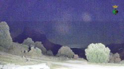 Webcams