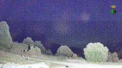 Webcams