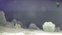 Webcams