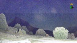 Webcams