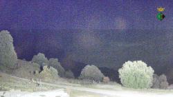 Webcams