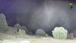 Webcams