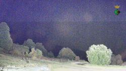 Webcams