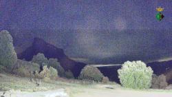 Webcams
