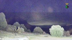 Webcams