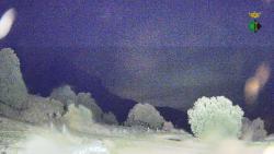 Webcams