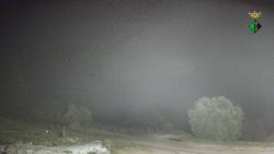 Webcams