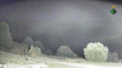 Webcams