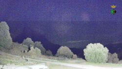 Webcams