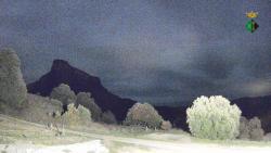 Webcams