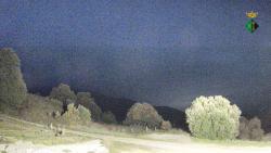 Webcams