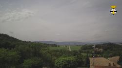 Webcams