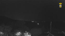 Webcams