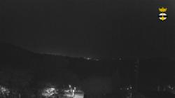 Webcams