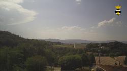 Webcams