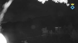 Webcams