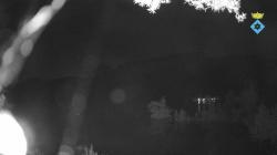 Webcams