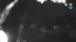 Webcams