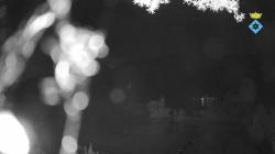 Webcams