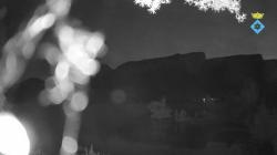 Webcams