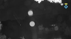 Webcams