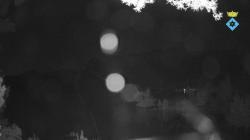 Webcams