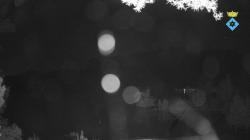 Webcams