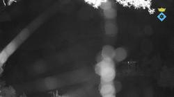 Webcams