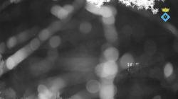 Webcams