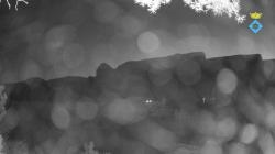 Webcams