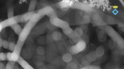 Webcams